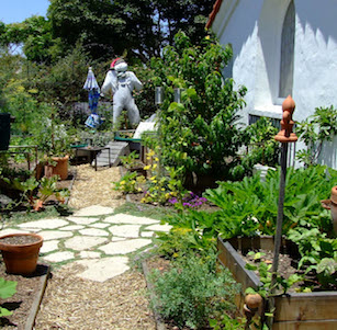 Santa Monica Urban Farm Garden